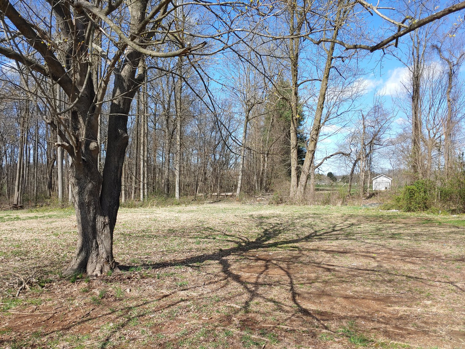 Image for COMPLETELY RENOVATED 3 BEDROOM, 2 BATH VINYL-SIDED RANCHER ON PRIVATE 2.03+/- AC COUNTRY LOT