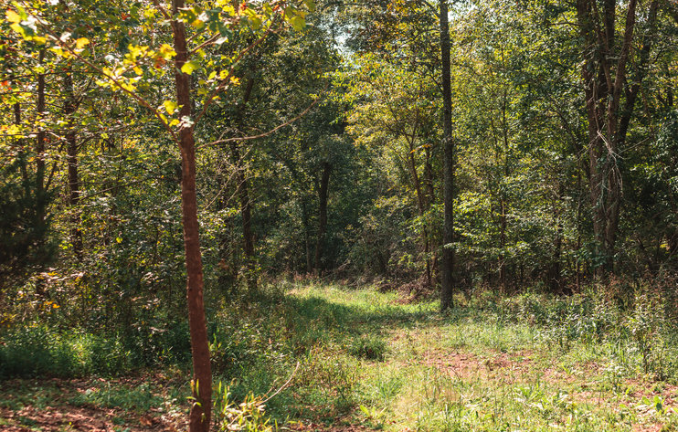 Image for Ripley Retreat