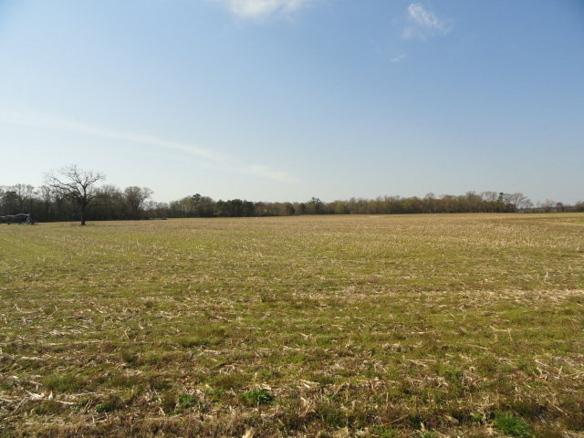 Image for May 1, 2021 Real Estate Auction