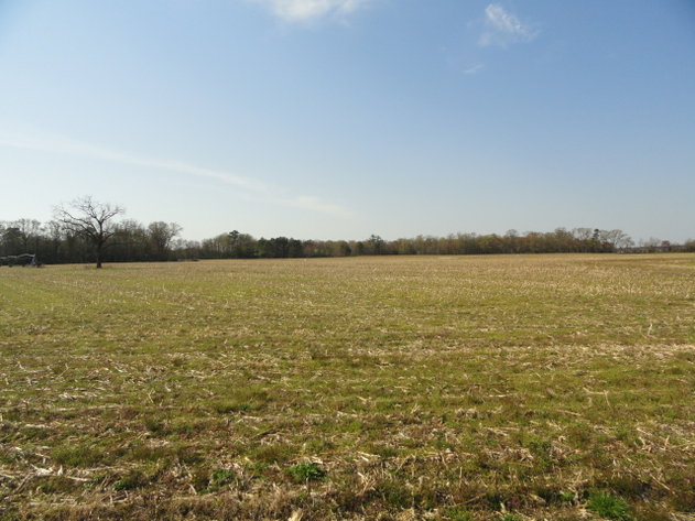 Image for May 1, 2021 Real Estate Auction