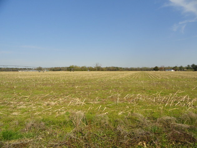 Image for May 1, 2021 Real Estate Auction