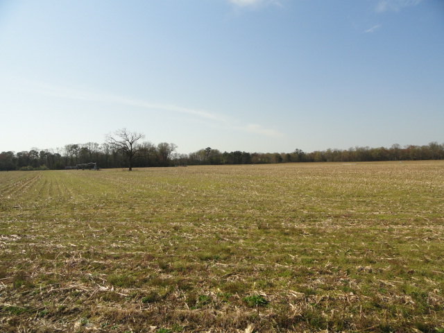 Image for May 1, 2021 Real Estate Auction