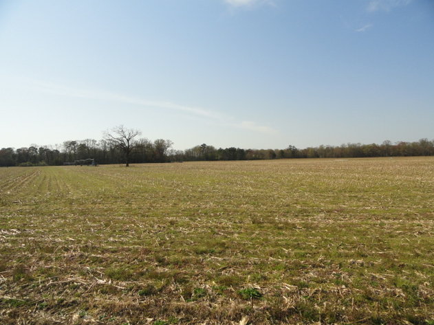 Image for May 1, 2021 Real Estate Auction