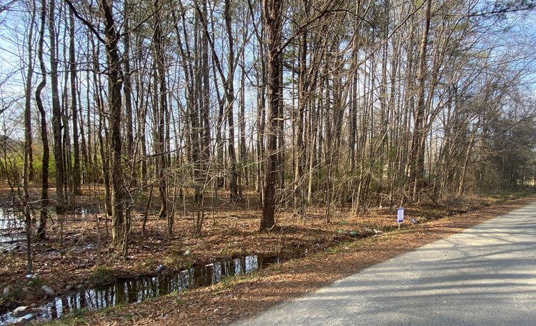 Image for Isle of Wight and Southampton County Non-Judicial Tax Auction