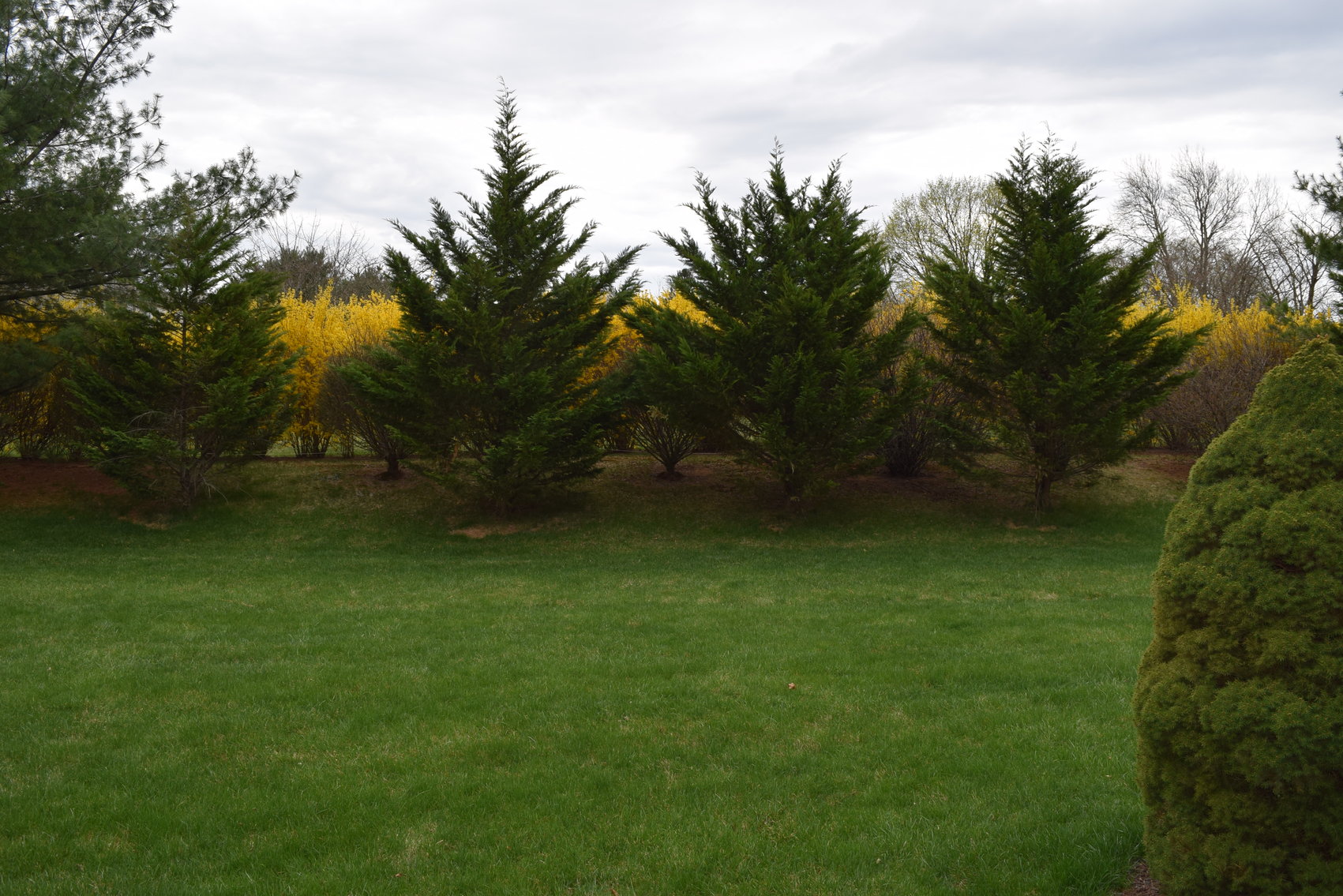 Image for Real Estate Private Showing By Appointment Only | 4154 Huckleberry Drive, Center Valley, PA 18034 | April 18, 2021