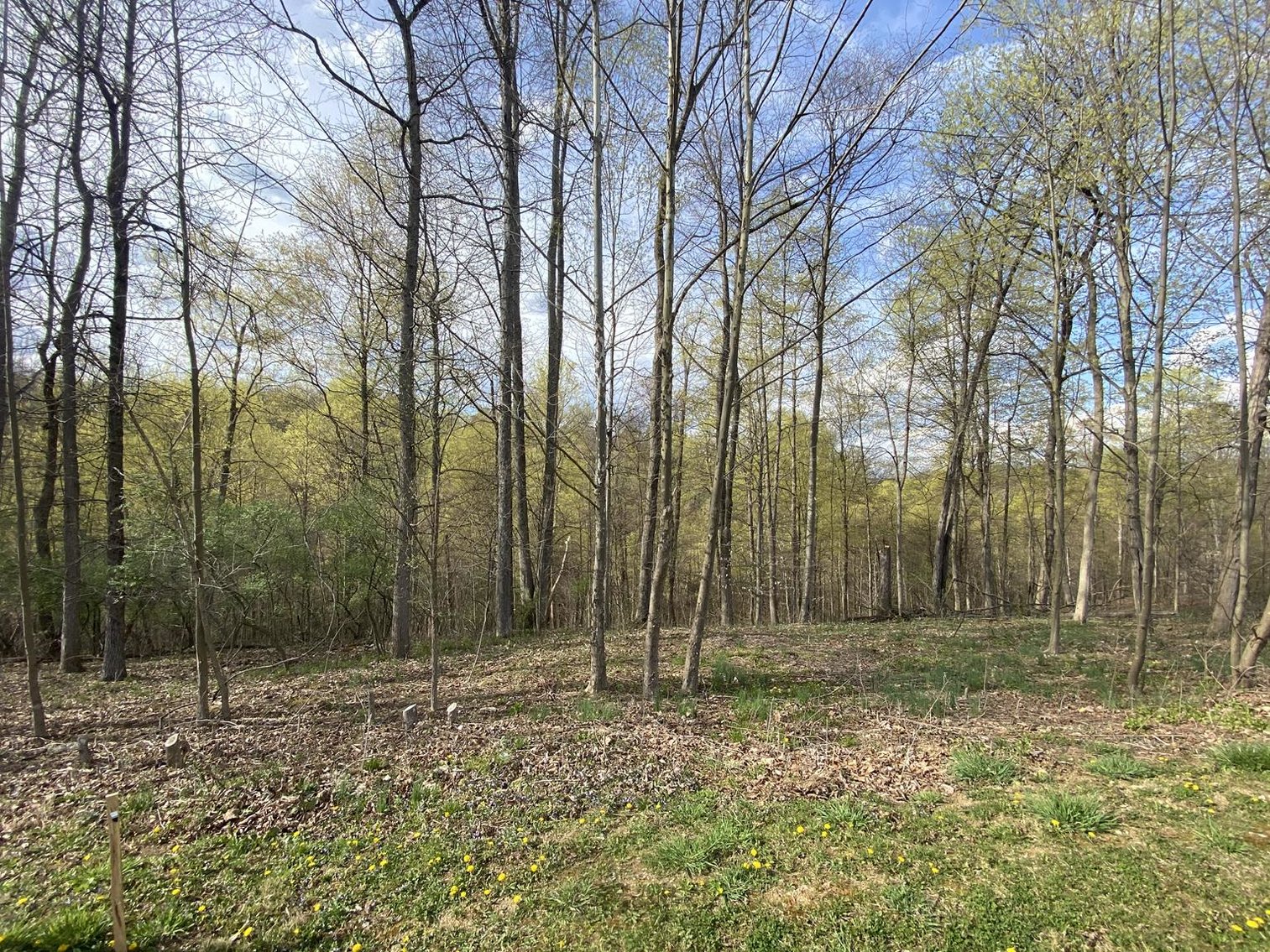 Image for SOLD $25,300 - Nearly 1-Acre Lot in Falling Water