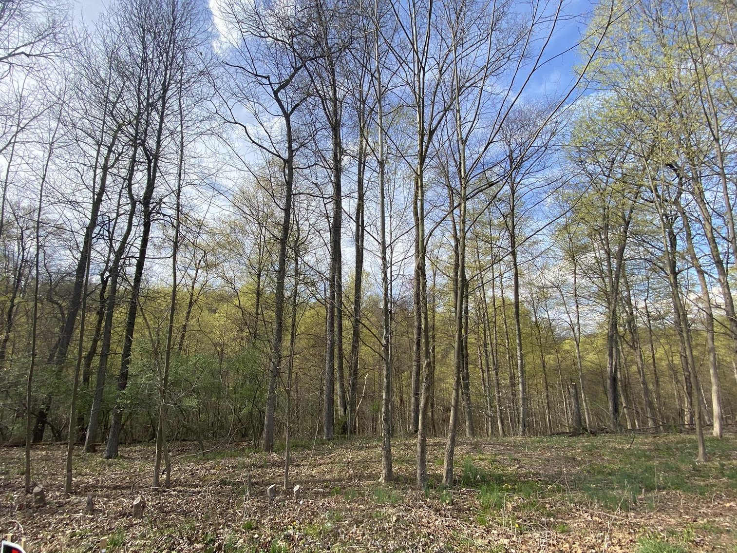 Image for SOLD $25,300 - Nearly 1-Acre Lot in Falling Water