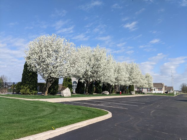 Image for 8331 Fossil Avenue, Sylvania, Ohio 43560