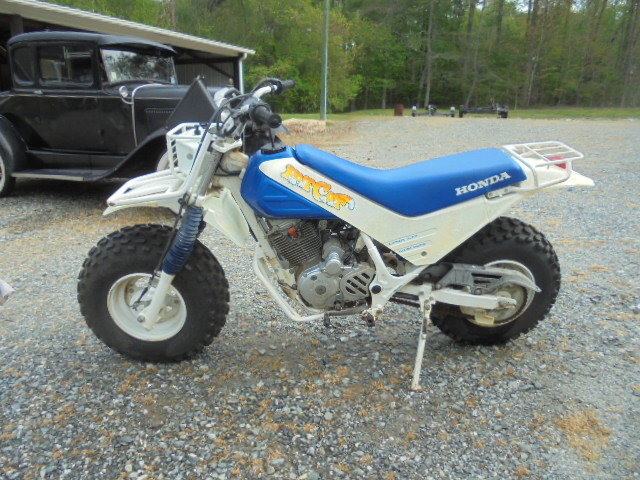 Image for PUBLIC AUCTION