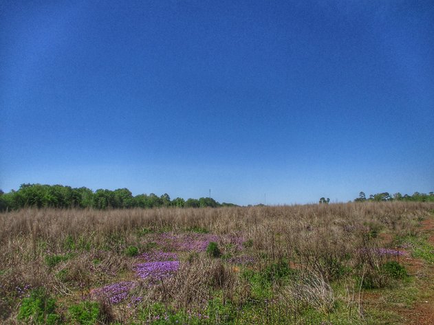 Image for LIVE AUCTION - May 20, 2021