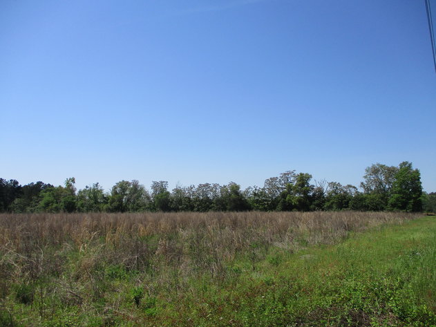 Image for LIVE AUCTION - May 20, 2021