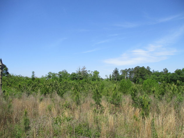 Image for LIVE AUCTION - May 20, 2021