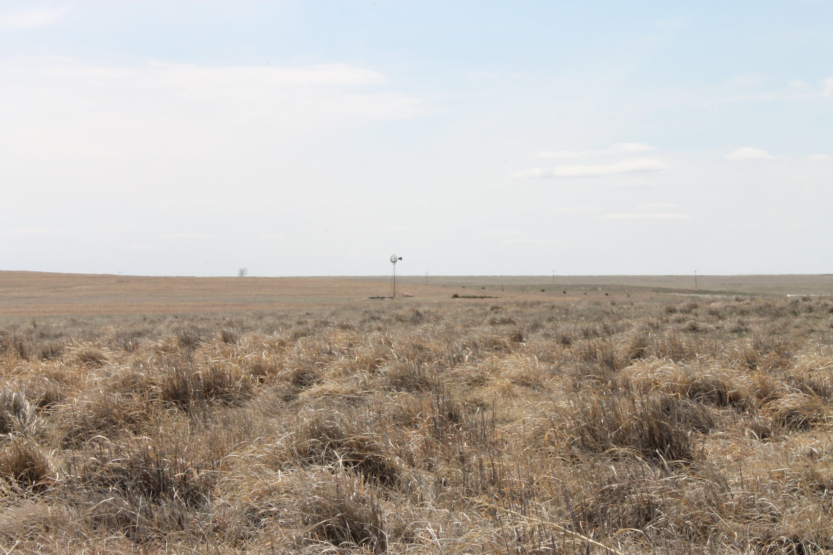 Image for KIT CARSON COUNTY, CO - CRP {C4063}