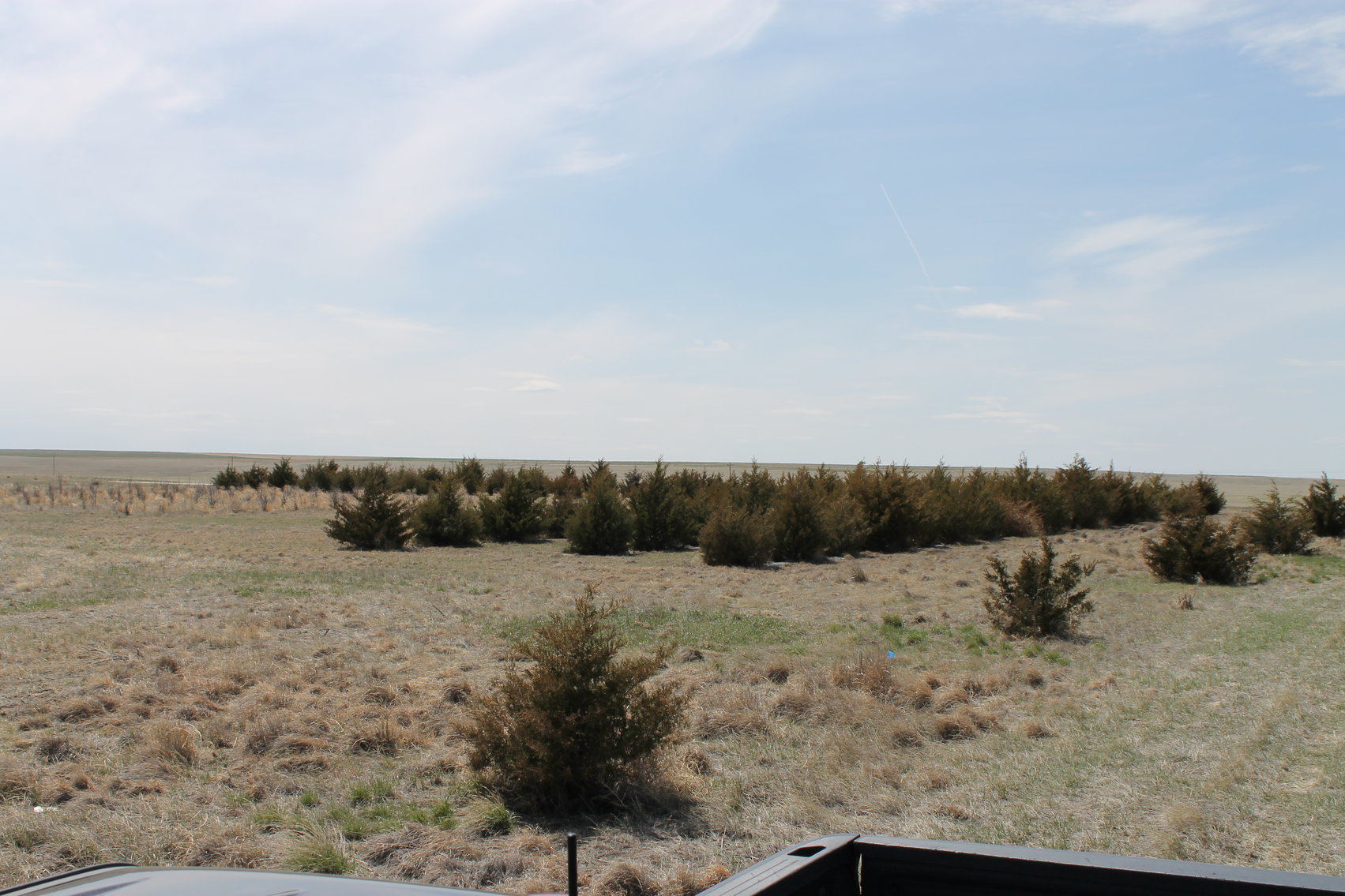 KIT CARSON COUNTY, CO CRP {C4063}