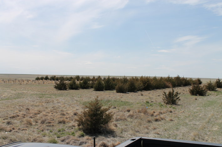 Image for KIT CARSON COUNTY, CO - CRP {C4063}