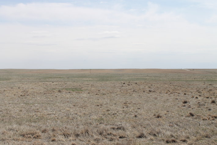 Image for KIT CARSON COUNTY, CO - CRP {C4063}