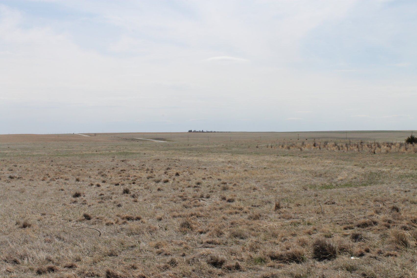 Image for KIT CARSON COUNTY, CO - CRP {C4063}