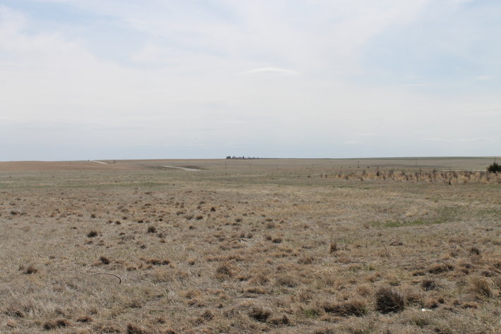 Image for KIT CARSON COUNTY, CO - CRP {C4063}