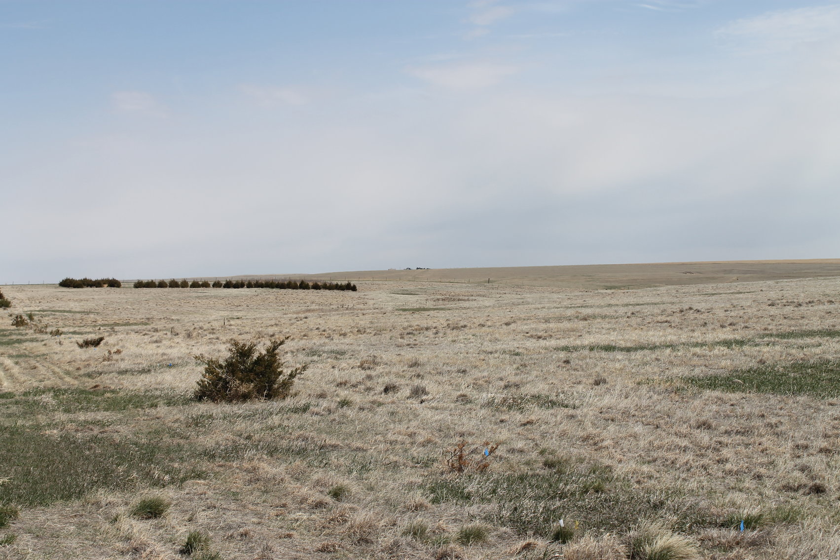 Image for KIT CARSON COUNTY, CO - CRP {C4063}