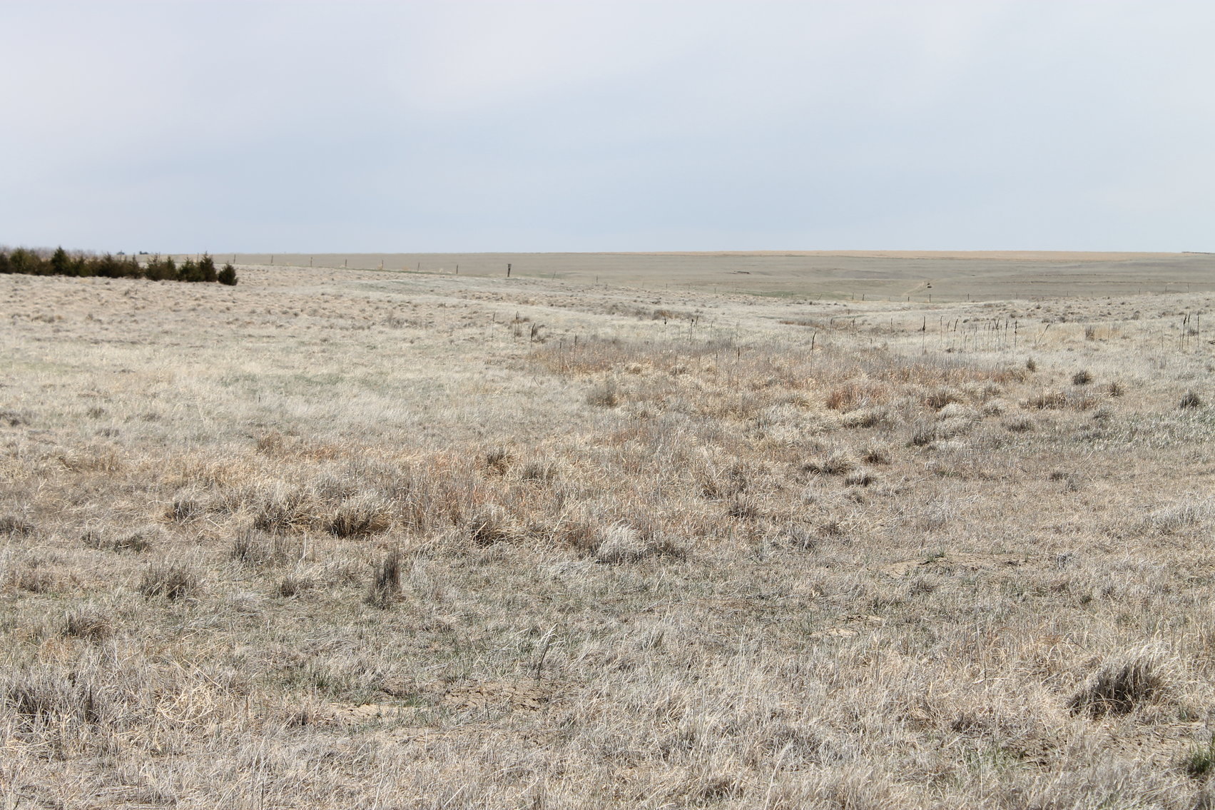 Image for KIT CARSON COUNTY, CO - CRP {C4063}
