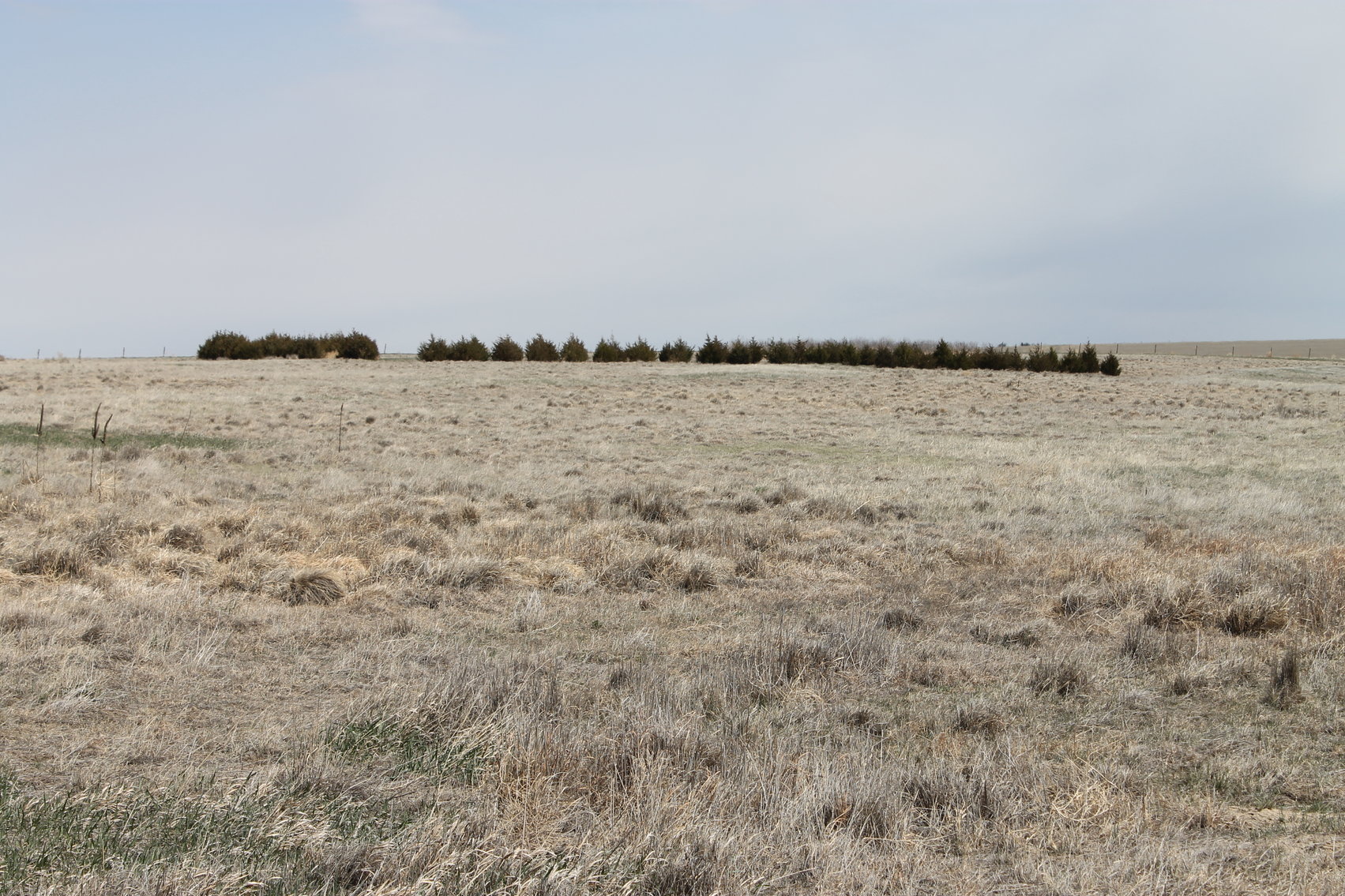 Image for KIT CARSON COUNTY, CO - CRP {C4063}