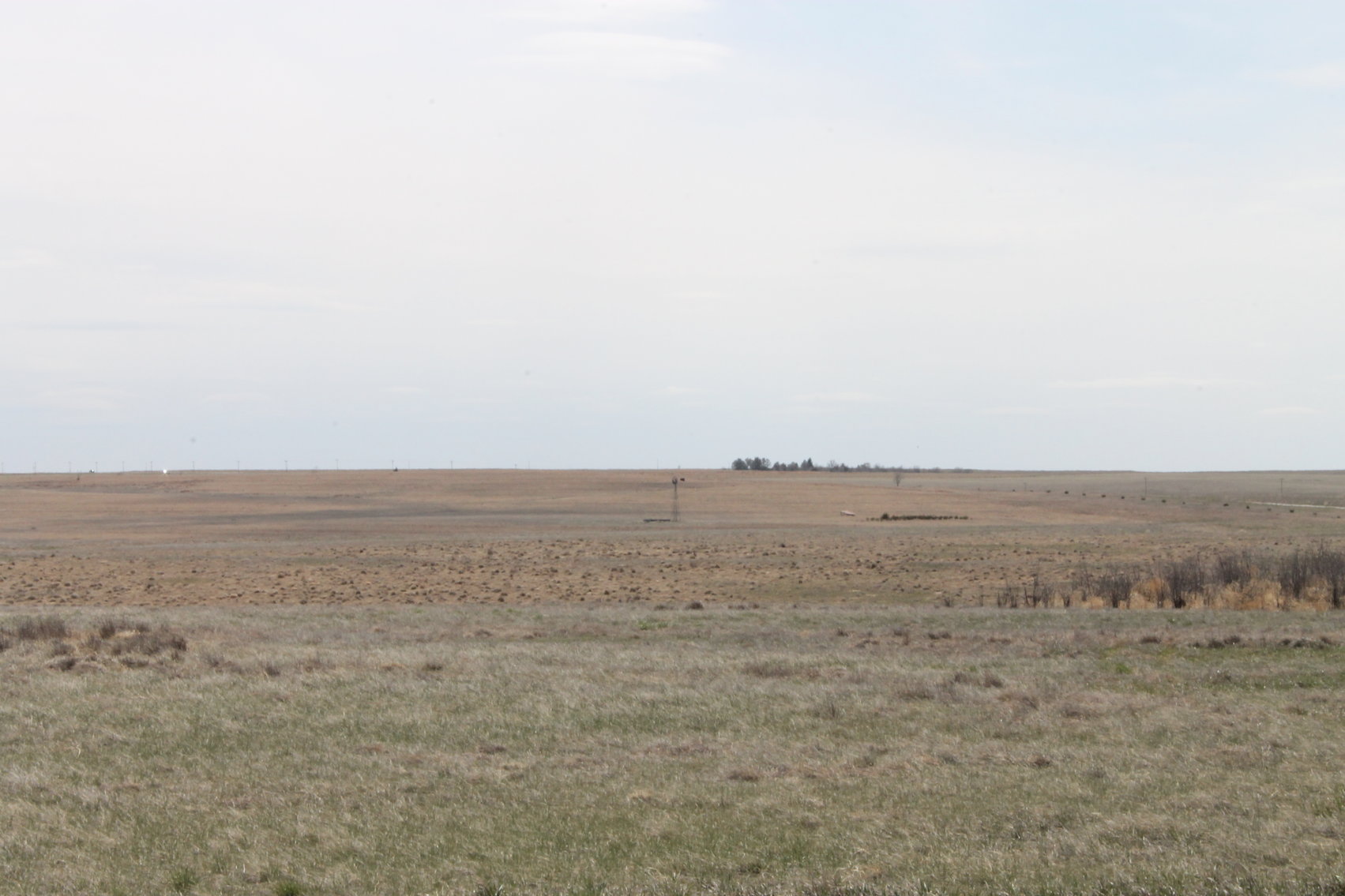 Image for KIT CARSON COUNTY, CO - CRP {C4063}