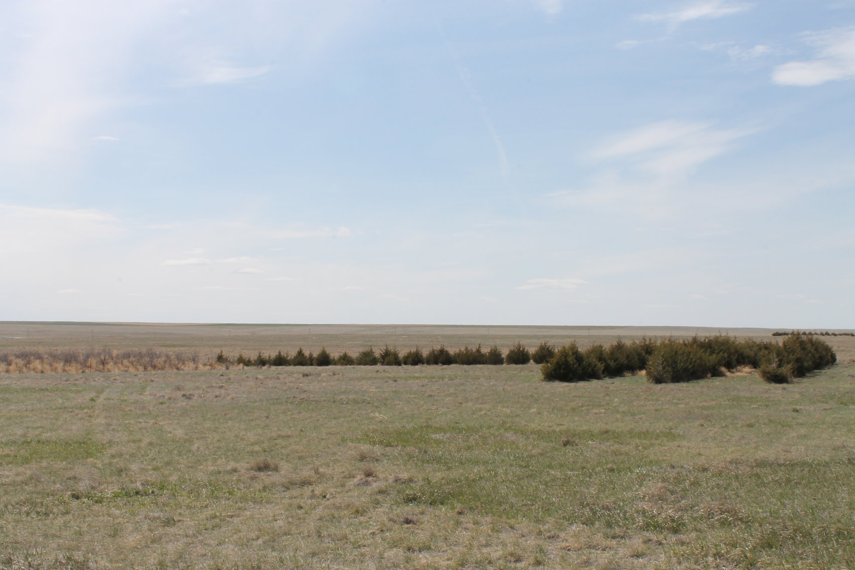 Image for KIT CARSON COUNTY, CO - CRP {C4063}