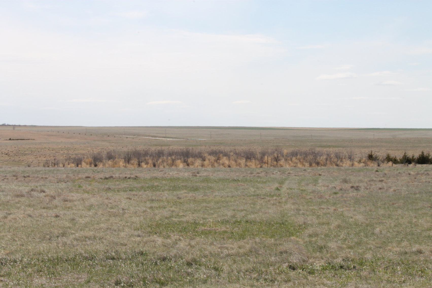 Image for KIT CARSON COUNTY, CO - CRP {C4063}
