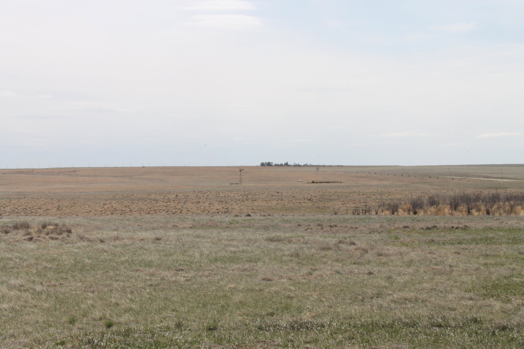 Image for KIT CARSON COUNTY, CO - CRP {C4063}