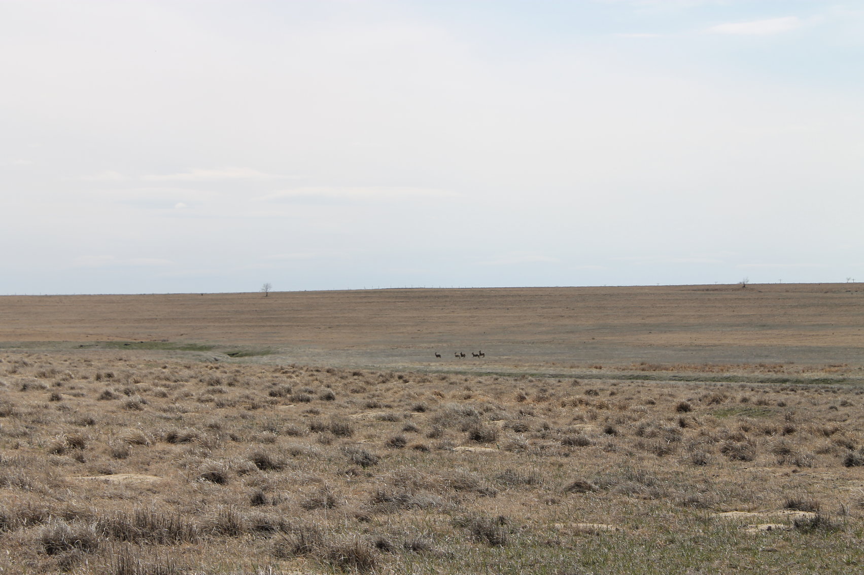 Image for KIT CARSON COUNTY, CO - CRP {C4063}
