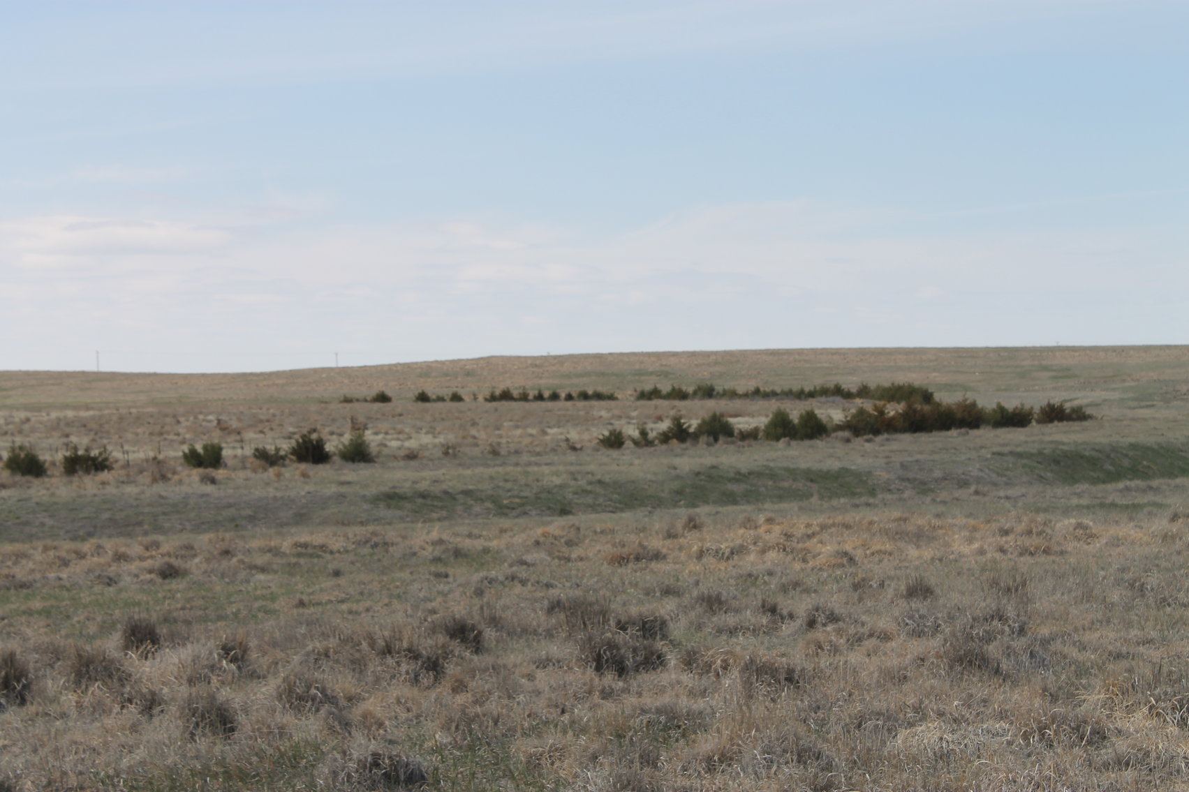 Image for KIT CARSON COUNTY, CO - CRP {C4063}