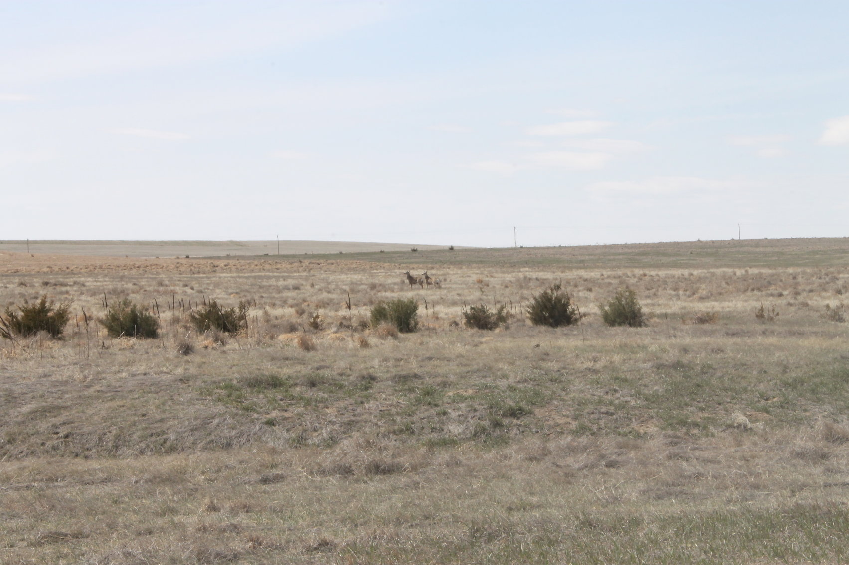 Image for KIT CARSON COUNTY, CO - CRP {C4063}