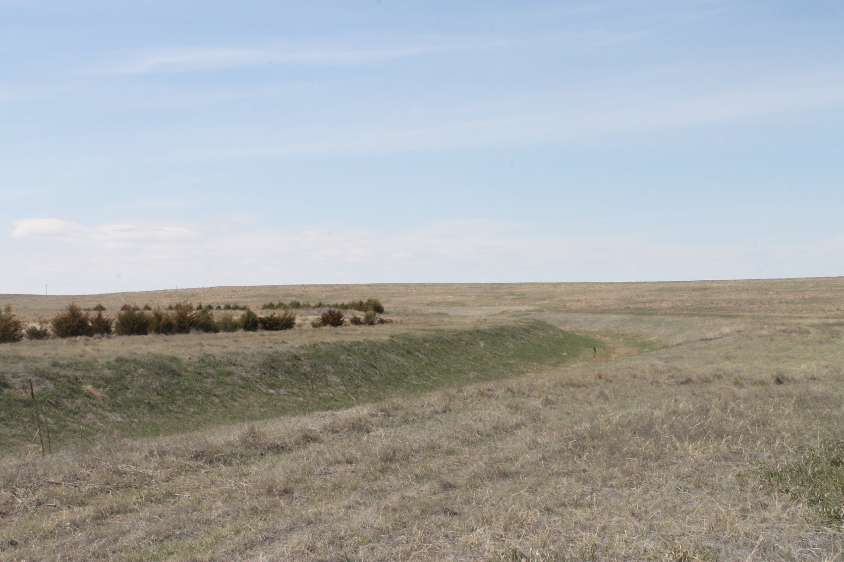 Image for KIT CARSON COUNTY, CO - CRP {C4063}