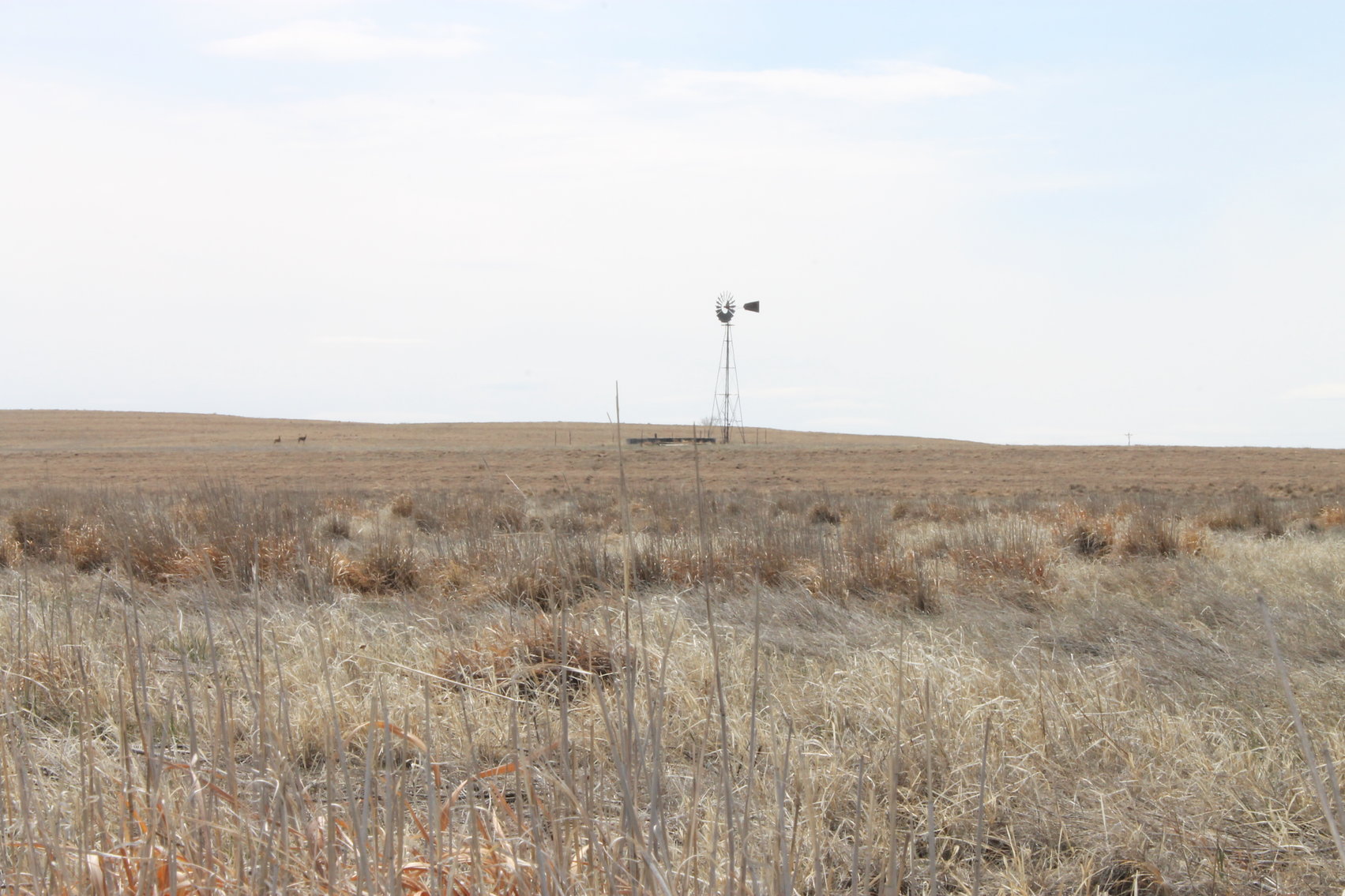 Image for KIT CARSON COUNTY, CO - CRP {C4063}