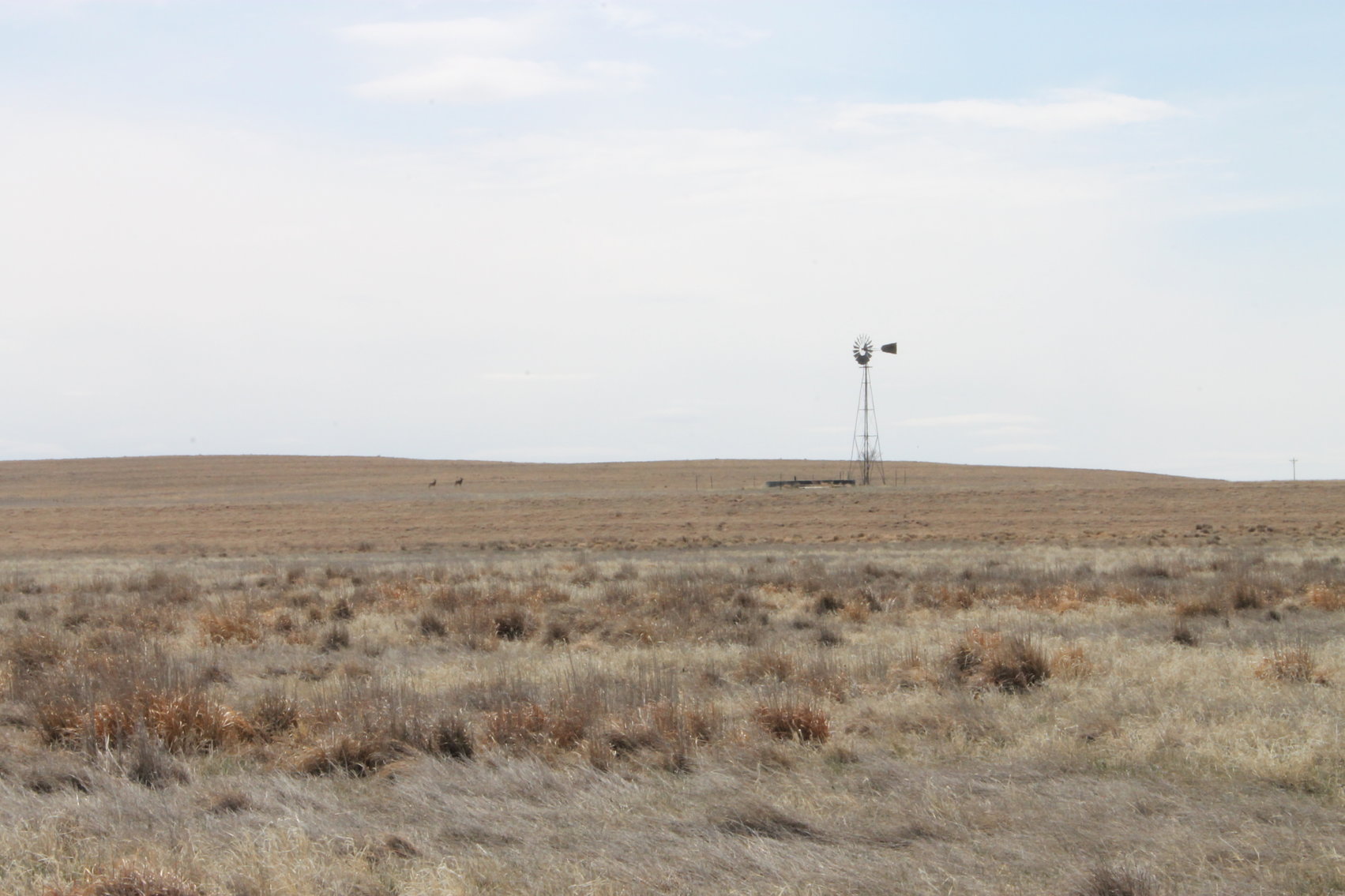 Image for KIT CARSON COUNTY, CO - CRP {C4063}