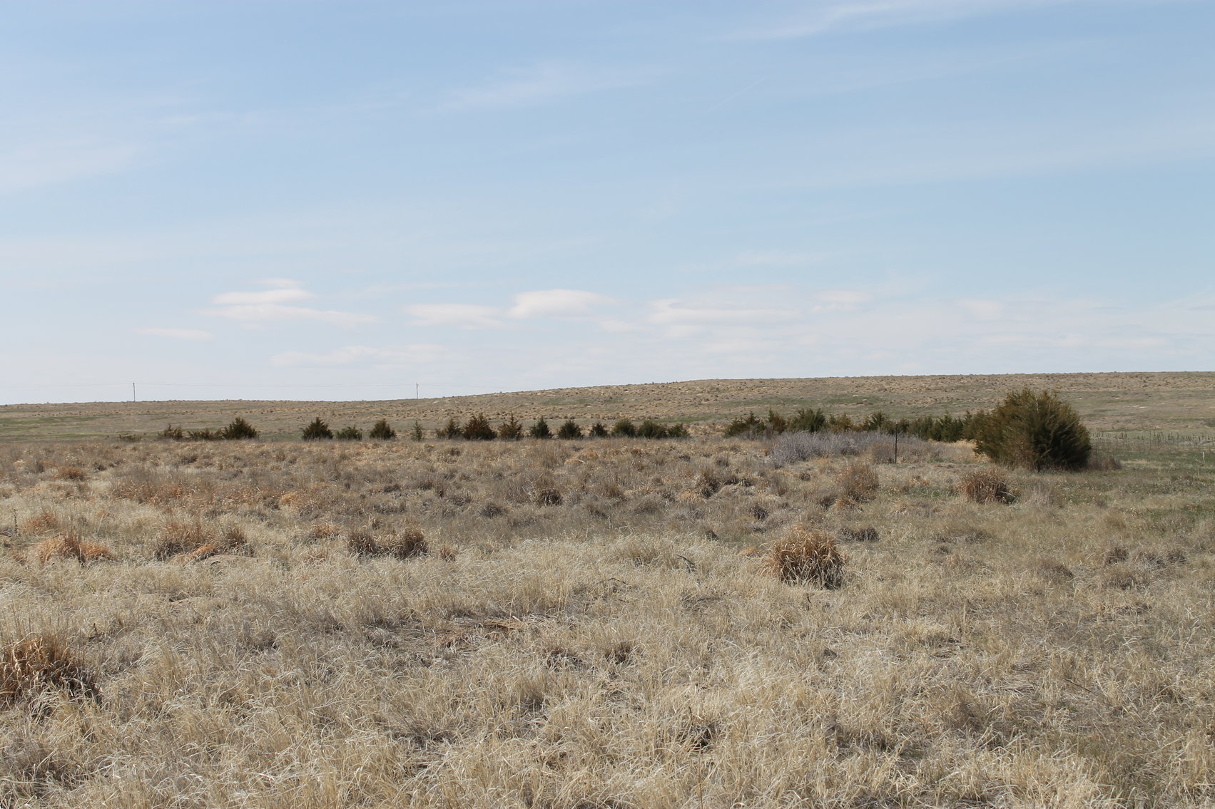 Image for KIT CARSON COUNTY, CO - CRP {C4063}