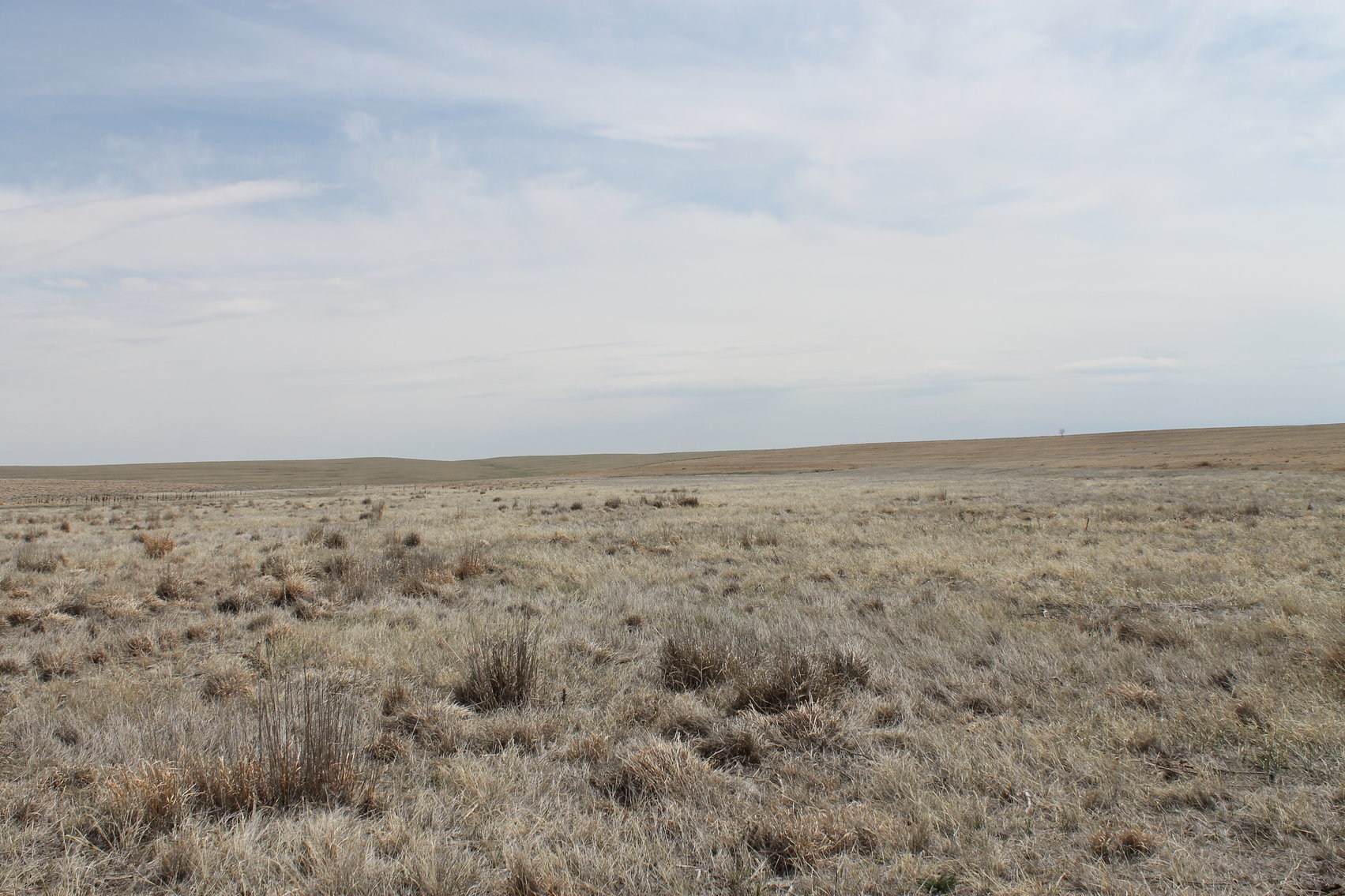 Image for KIT CARSON COUNTY, CO - CRP {C4063}