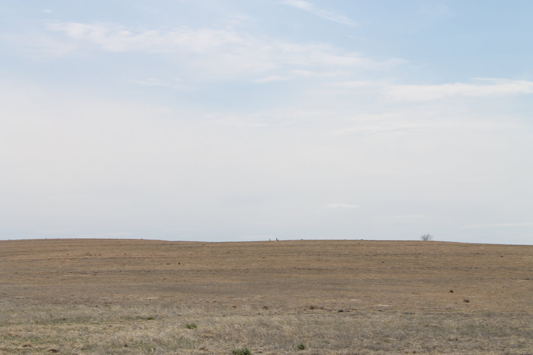 Image for KIT CARSON COUNTY, CO - CRP {C4063}
