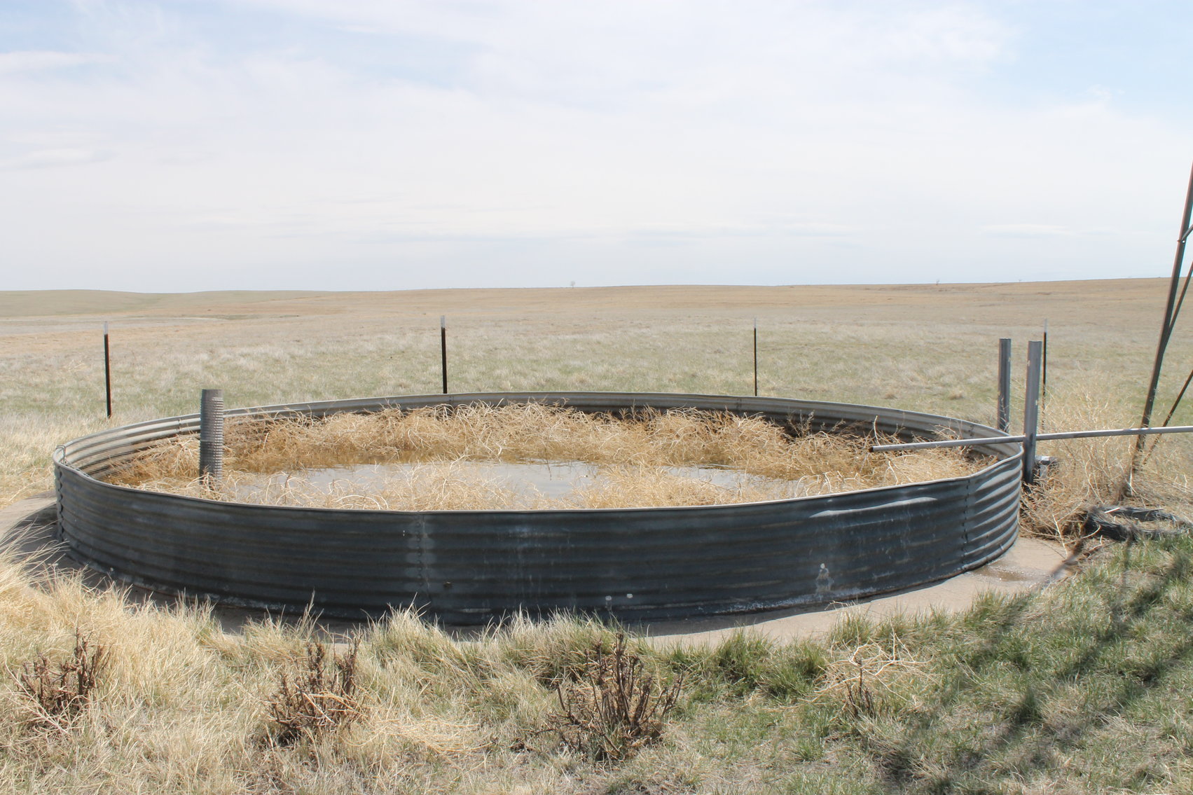 Image for KIT CARSON COUNTY, CO - CRP {C4063}