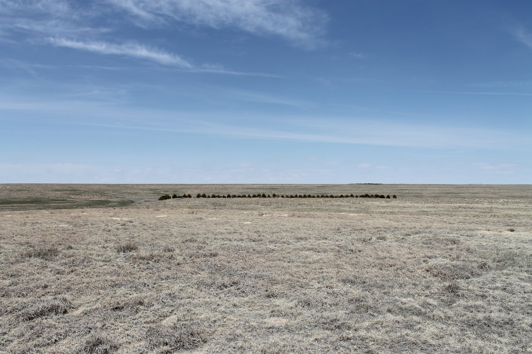 Image for KIT CARSON COUNTY, CO - CRP {C4063}