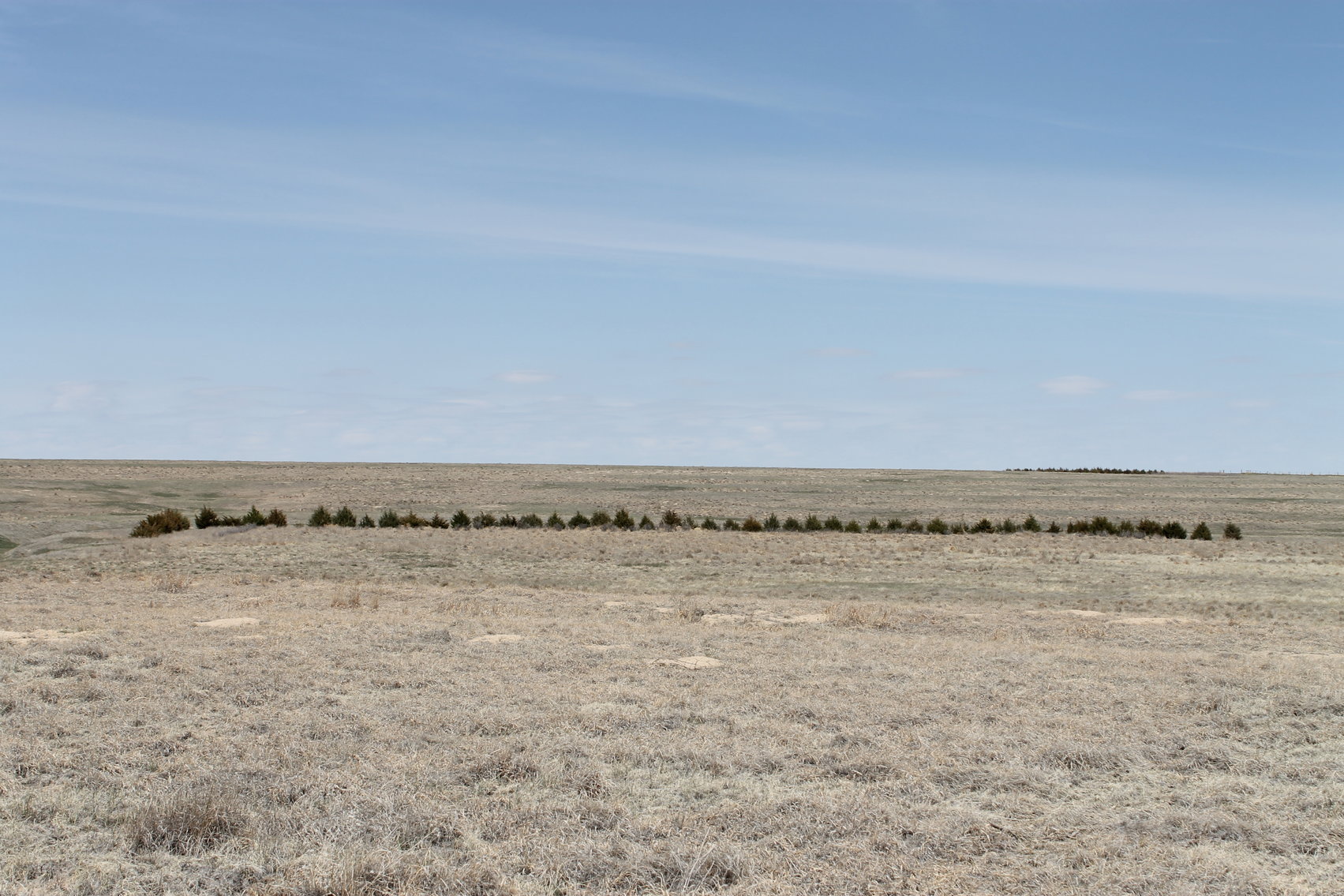 Image for KIT CARSON COUNTY, CO - CRP {C4063}