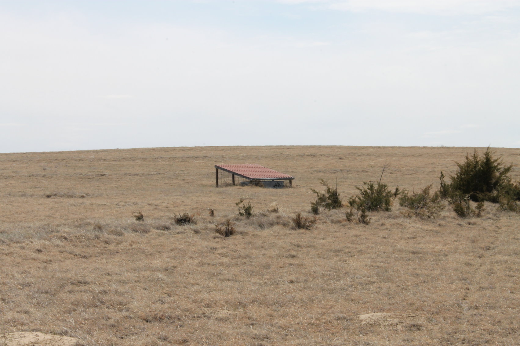 Image for KIT CARSON COUNTY, CO - CRP {C4063}