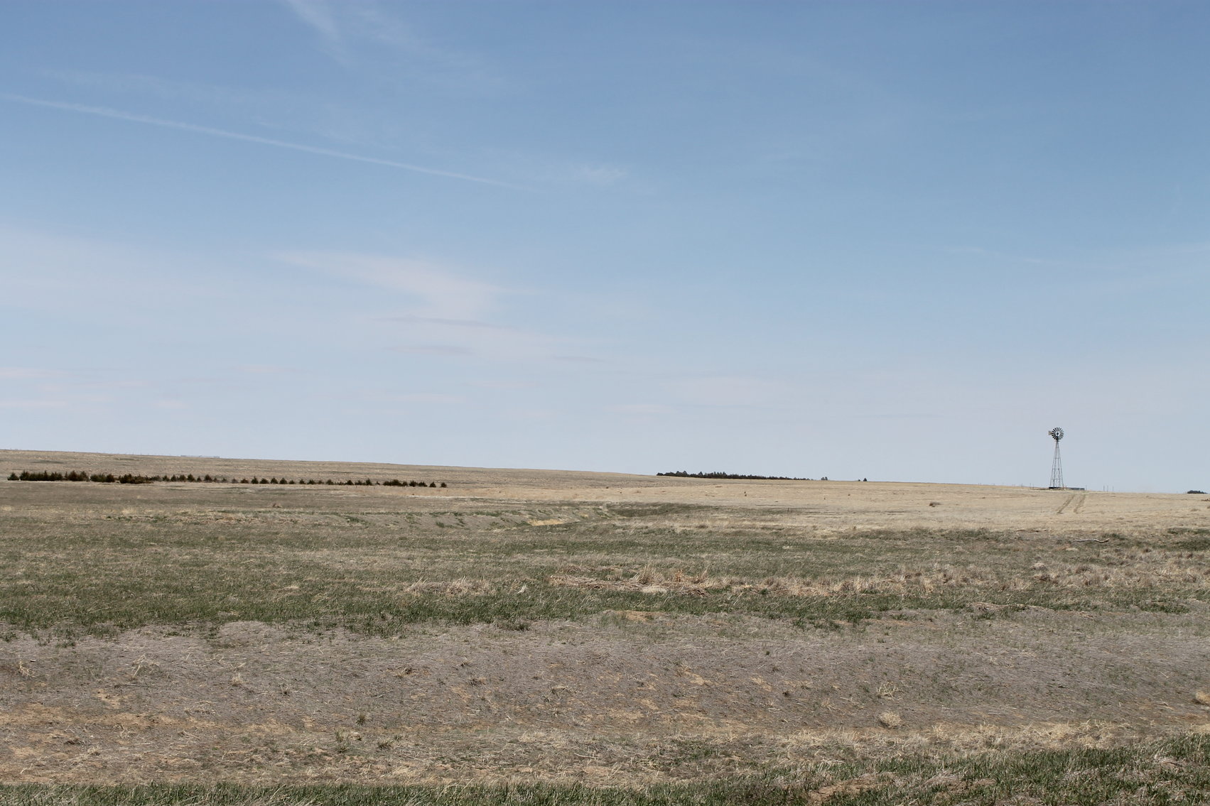 Image for KIT CARSON COUNTY, CO - CRP {C4063}