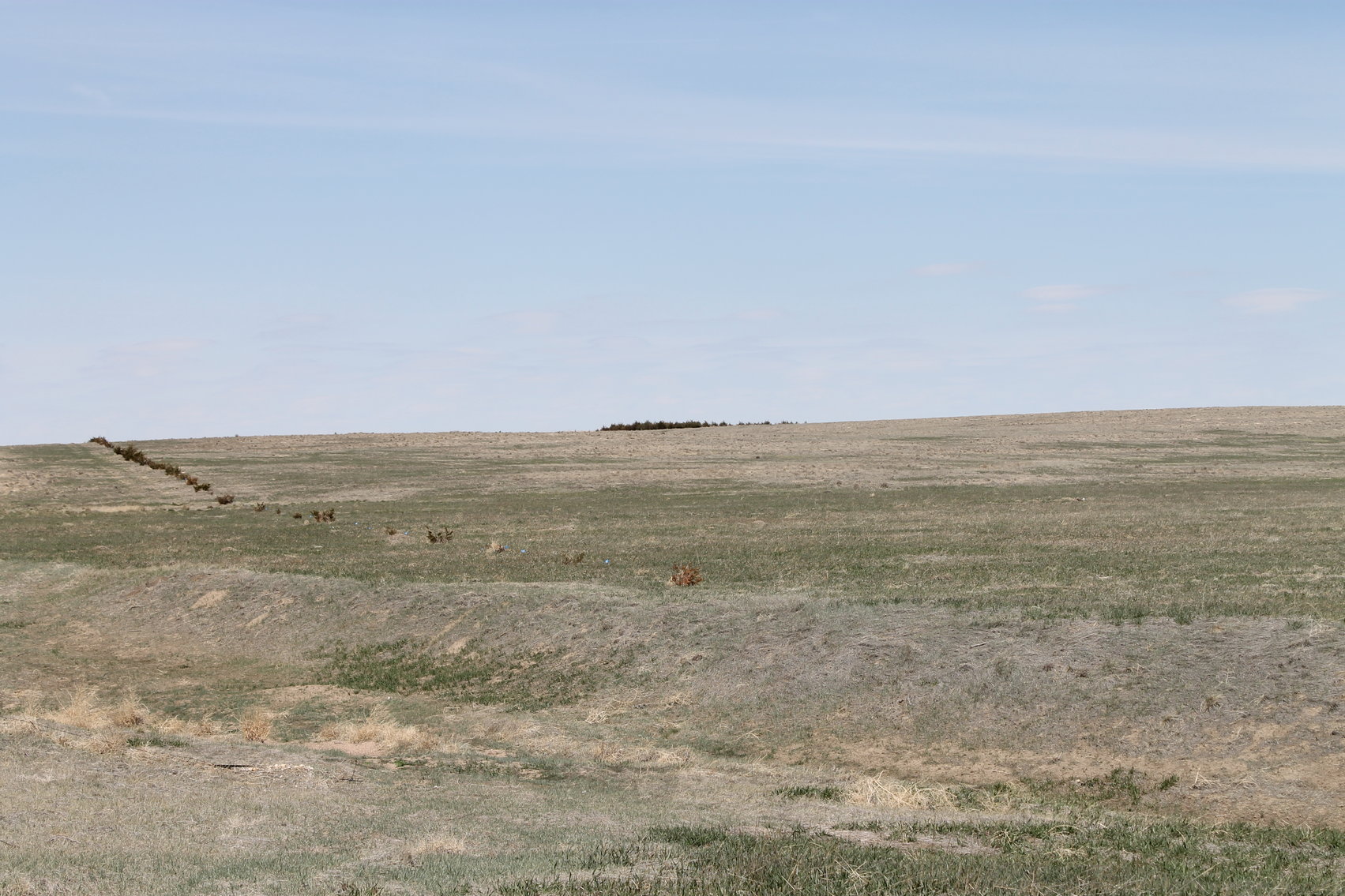 Image for KIT CARSON COUNTY, CO - CRP {C4063}