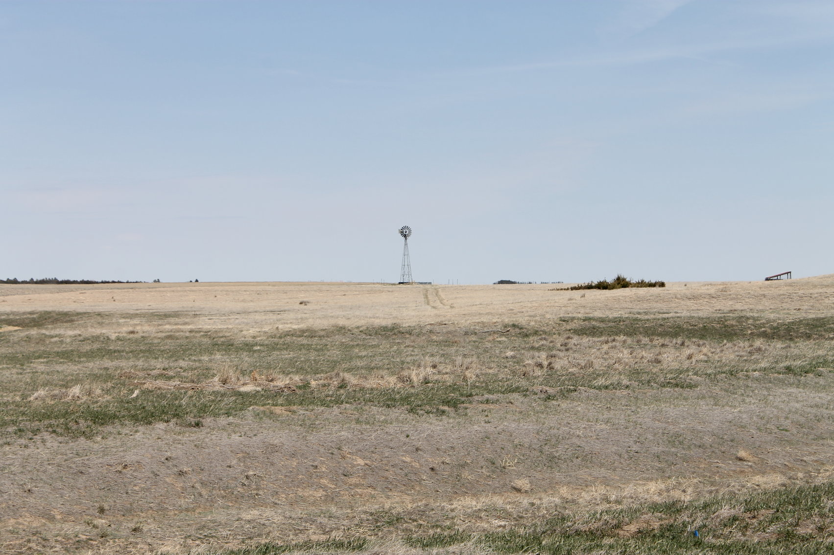 Image for KIT CARSON COUNTY, CO - CRP {C4063}