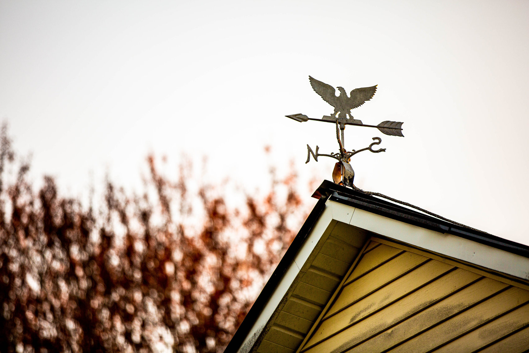 Image for 4 BR/2 BA Farm House, Barns, Fencing & 2 Ponds on 57.5 +/- Acres in Fauquier County, VA--SELLING to the HIGHEST BIDDER!!