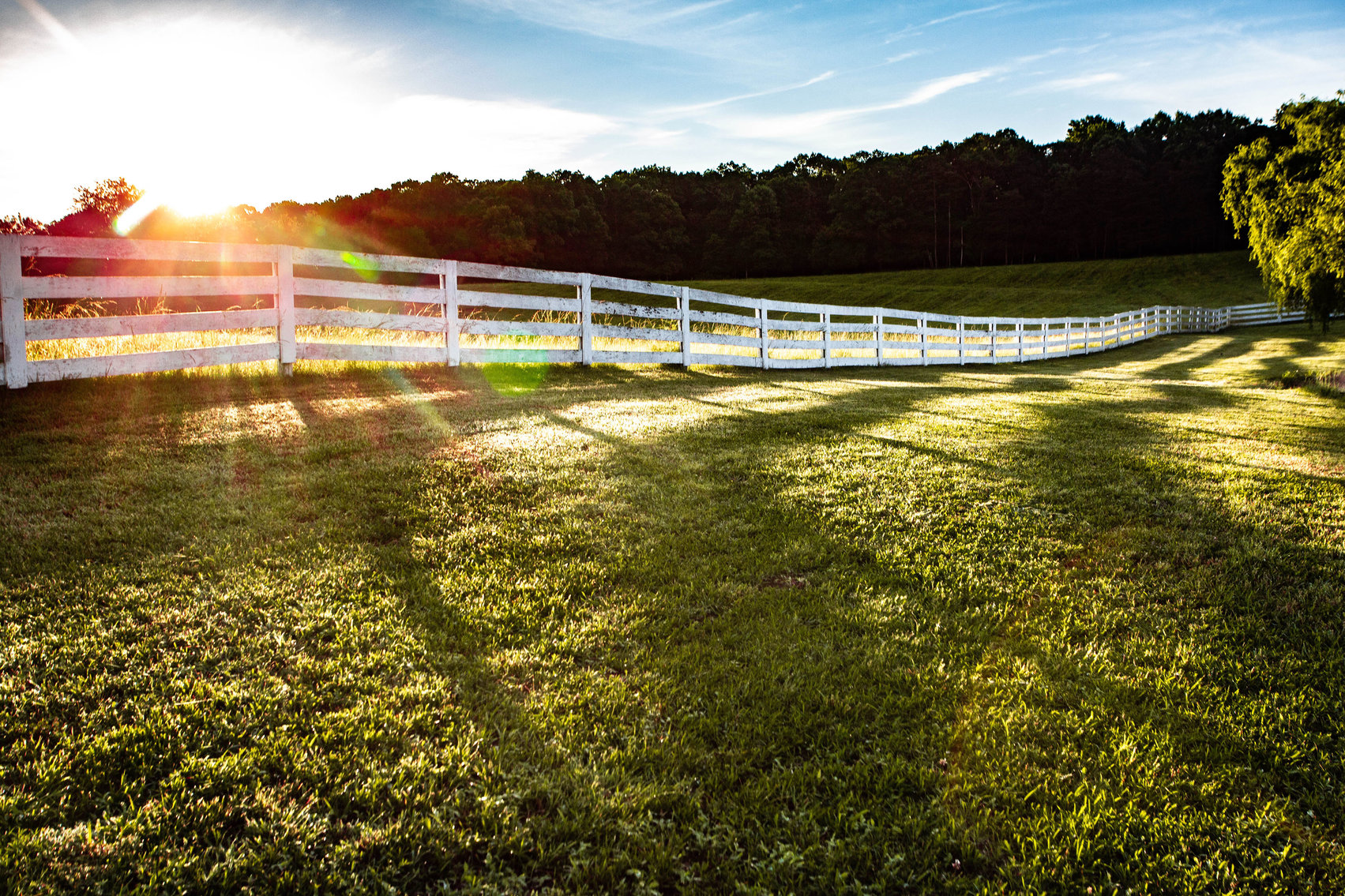 Image for 4 BR/2 BA Farm House, Barns, Fencing & 2 Ponds on 57.5 +/- Acres in Fauquier County, VA--SELLING to the HIGHEST BIDDER!!