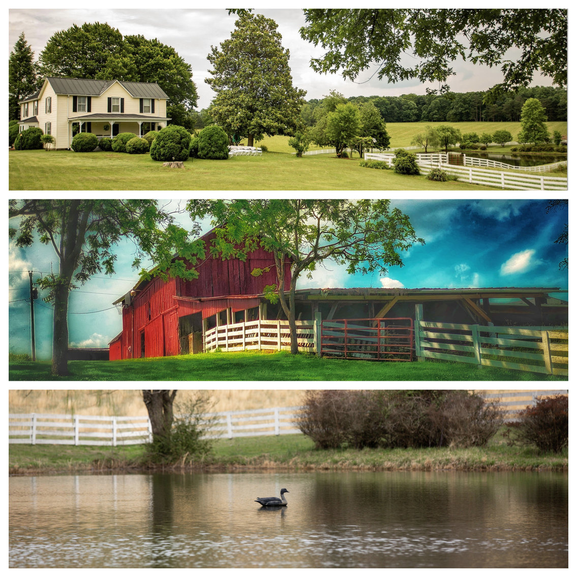 Image for 4 BR/2 BA Farm House, Barns, Fencing & 2 Ponds on 57.5 +/- Acres in Fauquier County, VA--SELLING to the HIGHEST BIDDER!!