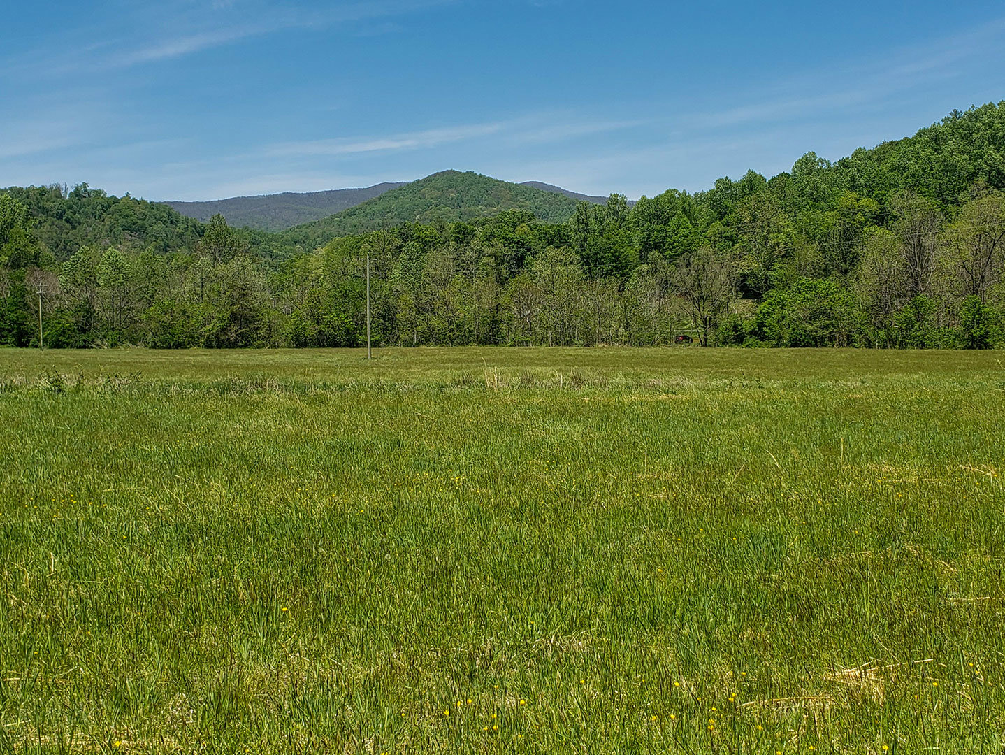 Tract 2: 105 Acres on the Buffalo River