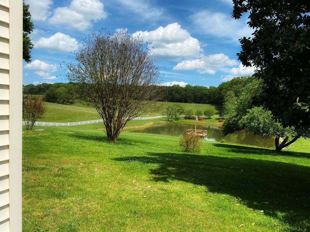 Image for 4 BR/2 BA Farm House, Barns, Fencing & 2 Ponds on 57.5 +/- Acres in Fauquier County, VA--SELLING to the HIGHEST BIDDER!!